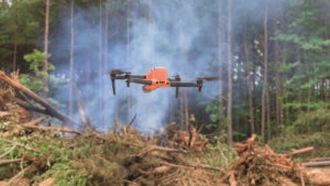 incendios-forestales-y-sus-consecuencias-en-la-naturaleza